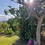Bed & Breakfast Straccialena