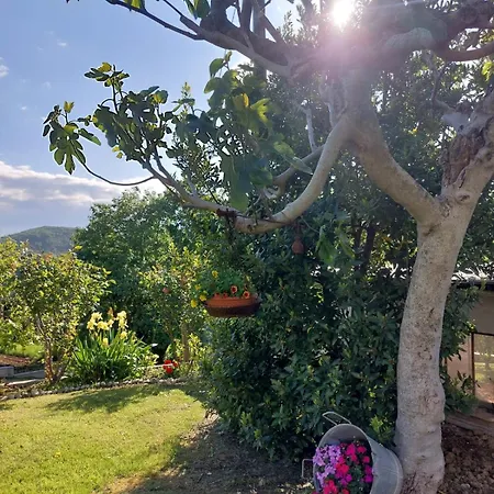 Bed & Breakfast Straccialena