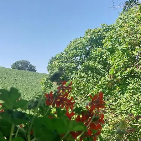 Straccialena Bed & Breakfast *