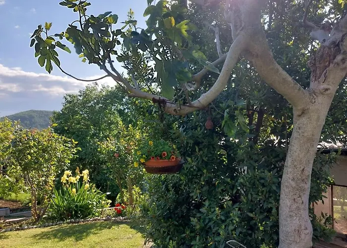 Bed & Breakfast Straccialena