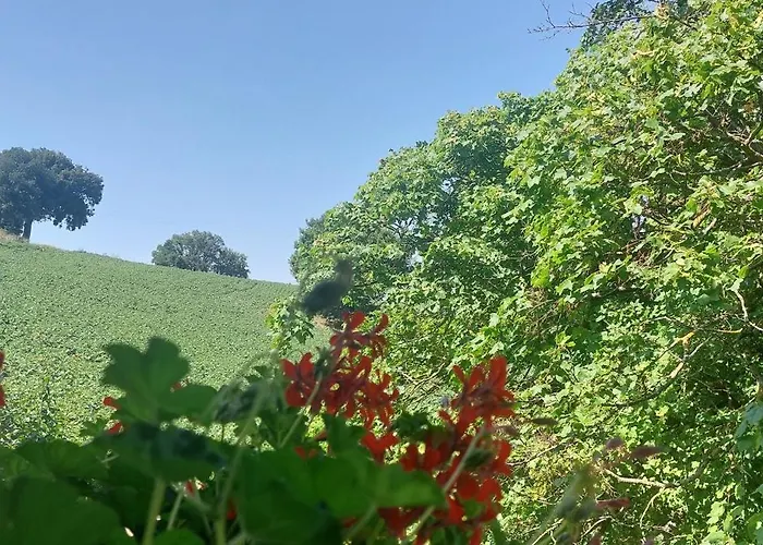 Straccialena Bed & Breakfast *